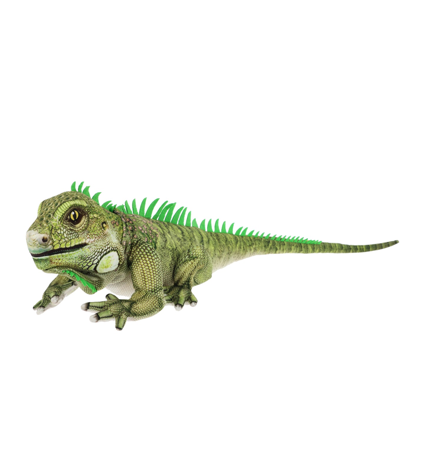 Keeleco Iguana - 65cm