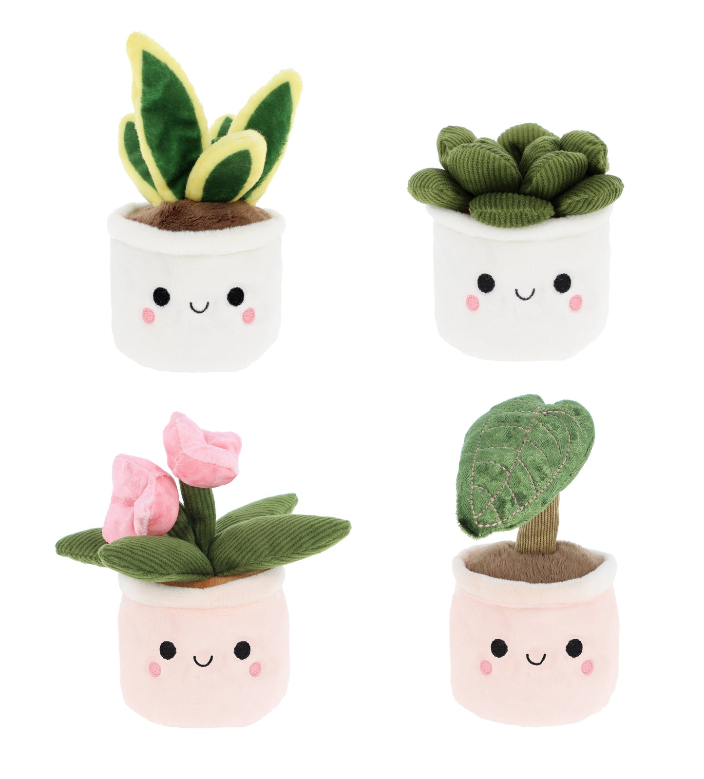 Plant Bobballs - 12cm