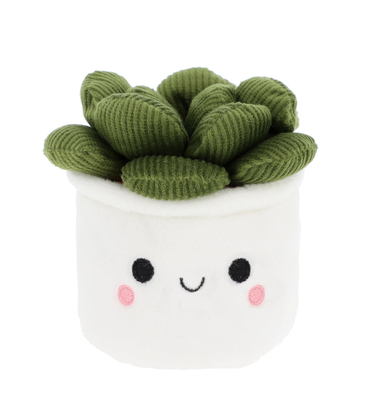 Plant Bobballs - 12cm