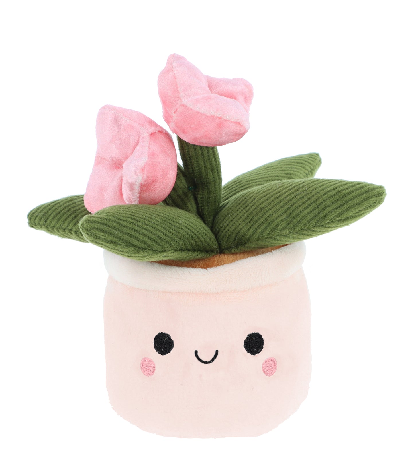Plant Bobballs - 12cm
