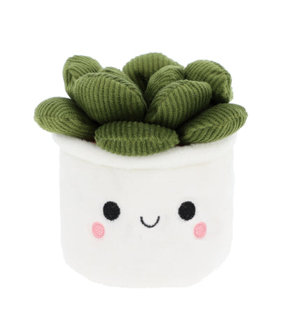 Plant Bobballs - 12cm