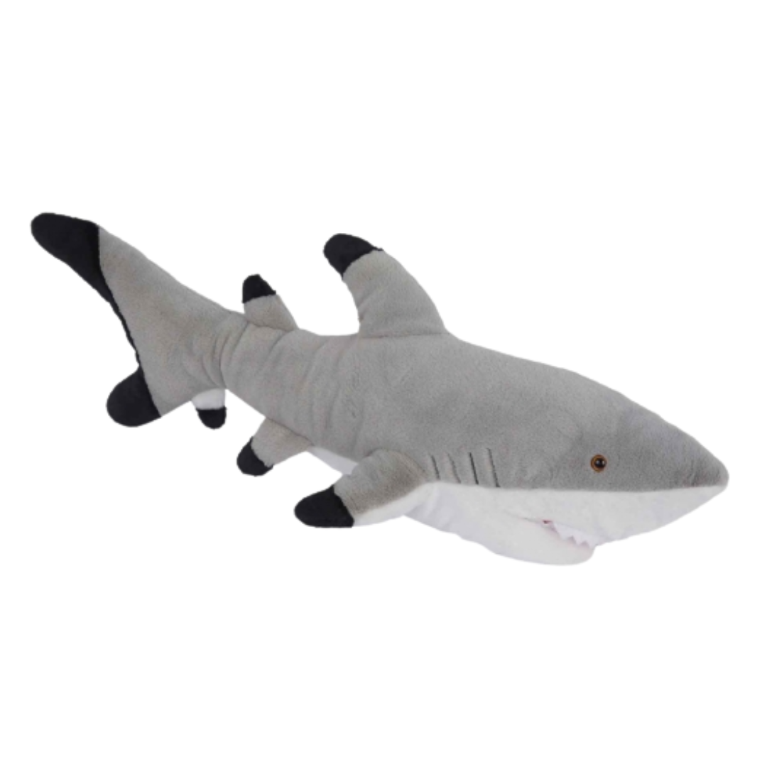 Sammy The Black Tipped Reef Shark - 55cm
